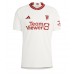 Manchester United Donny van de Beek #34 Tredje trøje 2023-24 Kort ærmer
